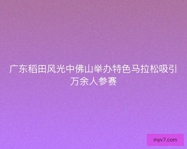 广东稻田风光中佛山举办特色马拉松吸引万余人参赛